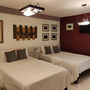 Suites Viveros de Coyoacán, estilo y comfort